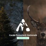 Acțiune tematică de amploare privind controlul actelor de punere în valoare, desfășurată la nivel național, în perioada 9-13 septembrie 2024